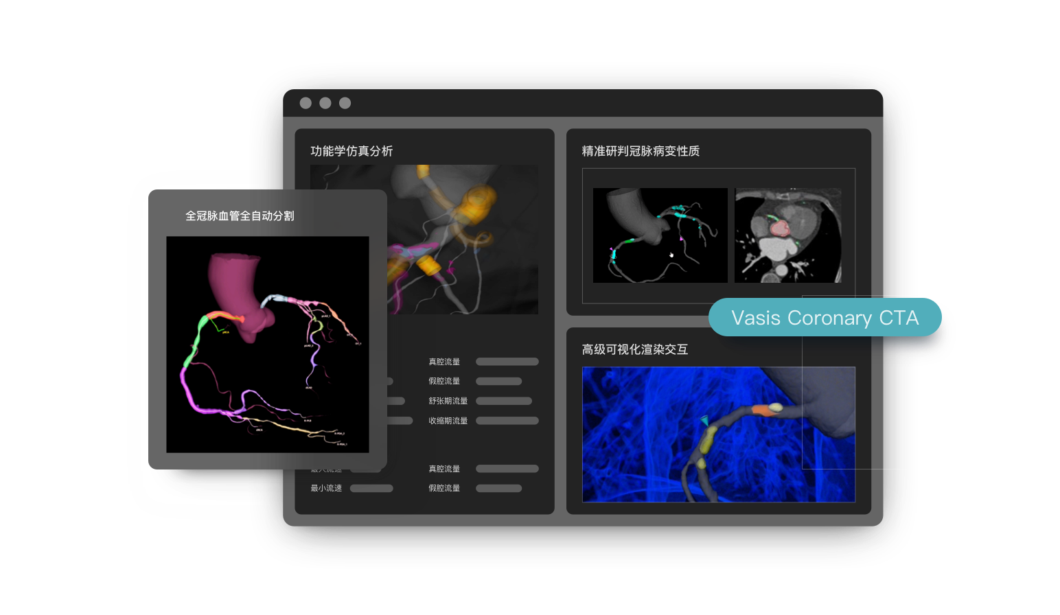 Vasis Coronary CTA 冠状动脉血管智能评估系统